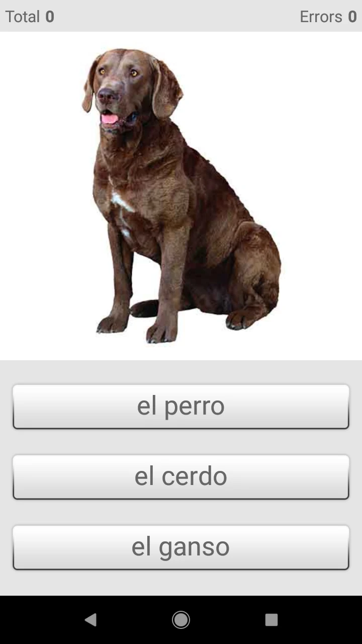 Learn Spanish words with ST screenshot