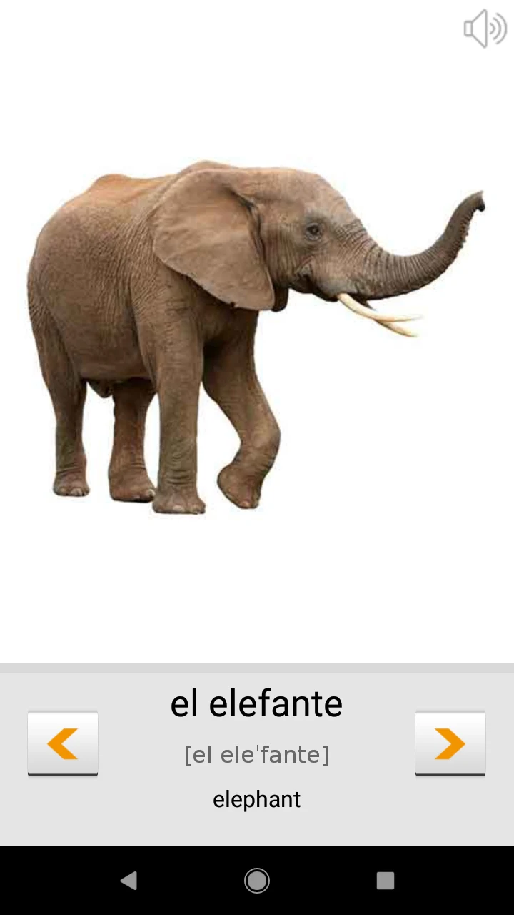 Learn Spanish words with ST screenshot