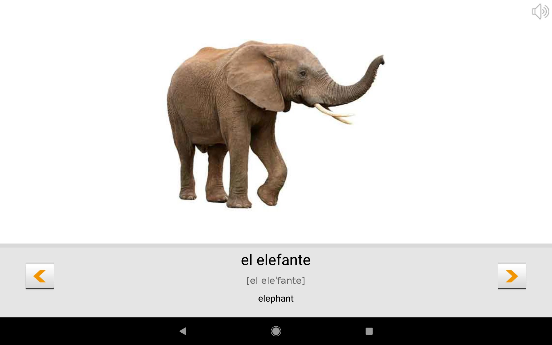Learn Spanish words with ST screenshot