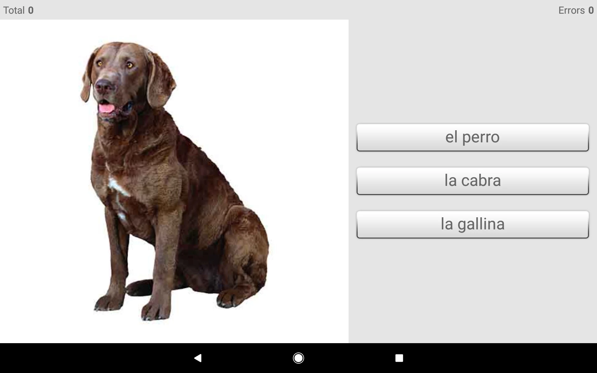 Learn Spanish words with ST screenshot